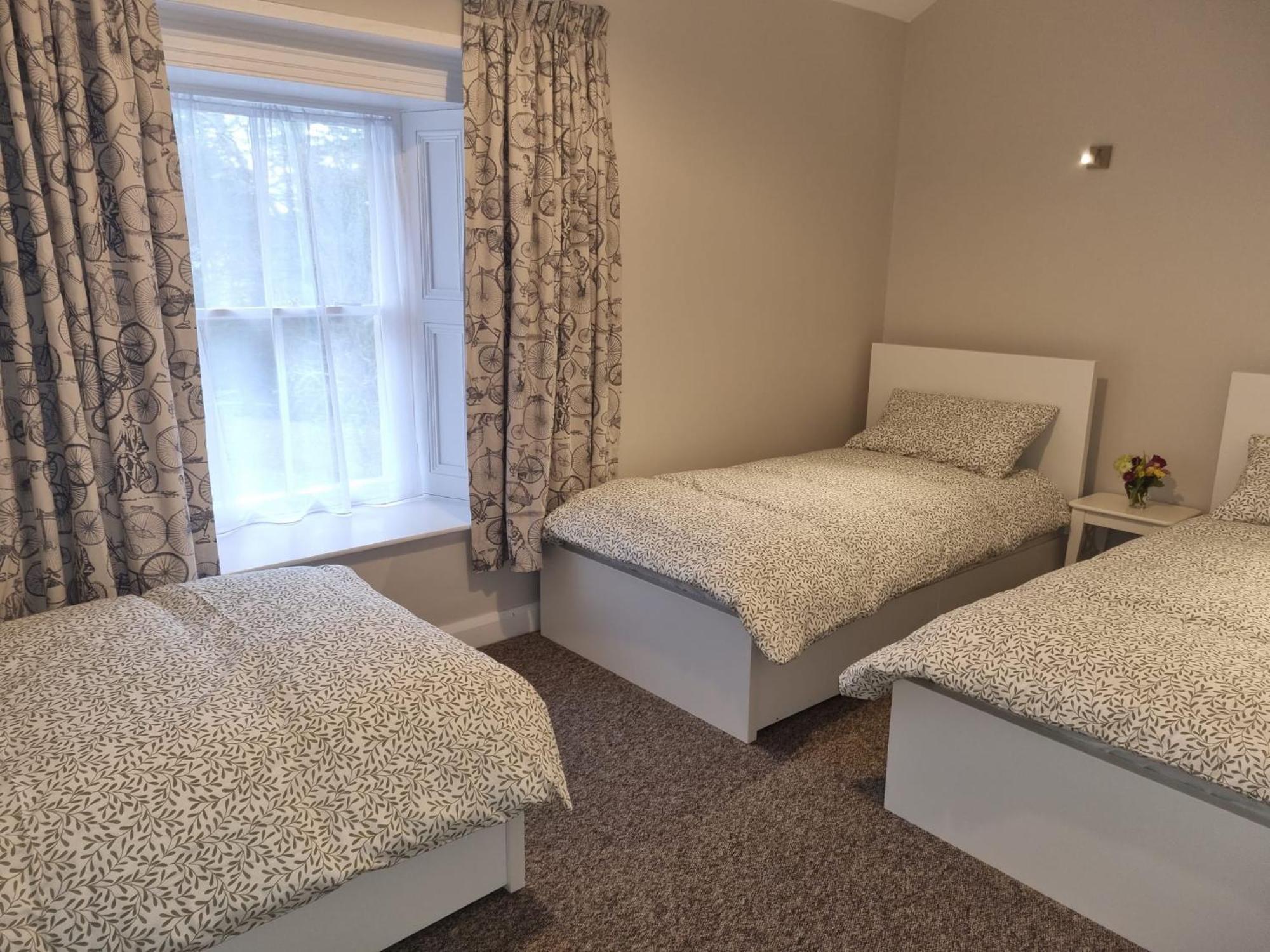 The Monkey Puzzle Hotel Bunclody Bagian luar foto