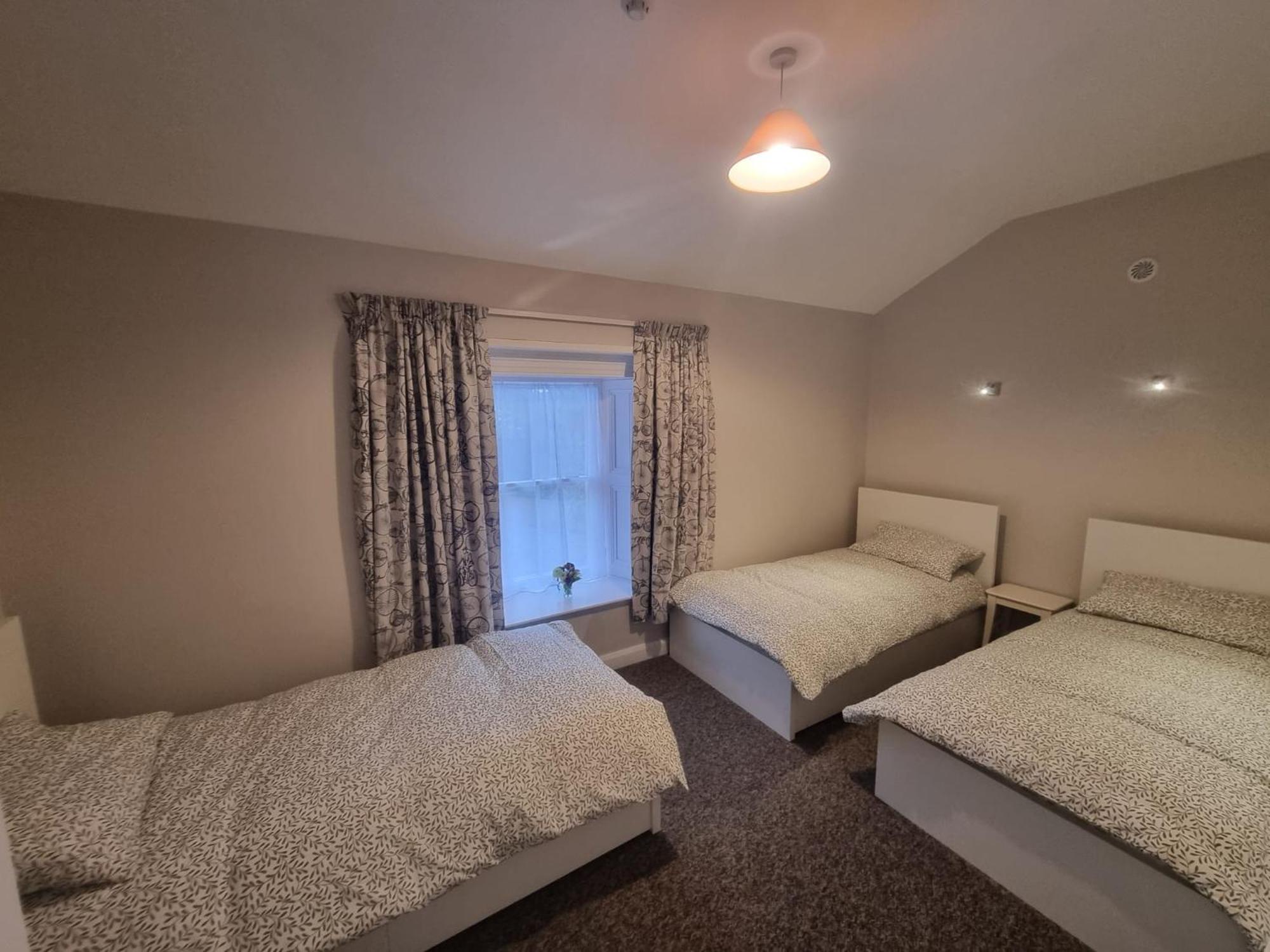 The Monkey Puzzle Hotel Bunclody Bagian luar foto