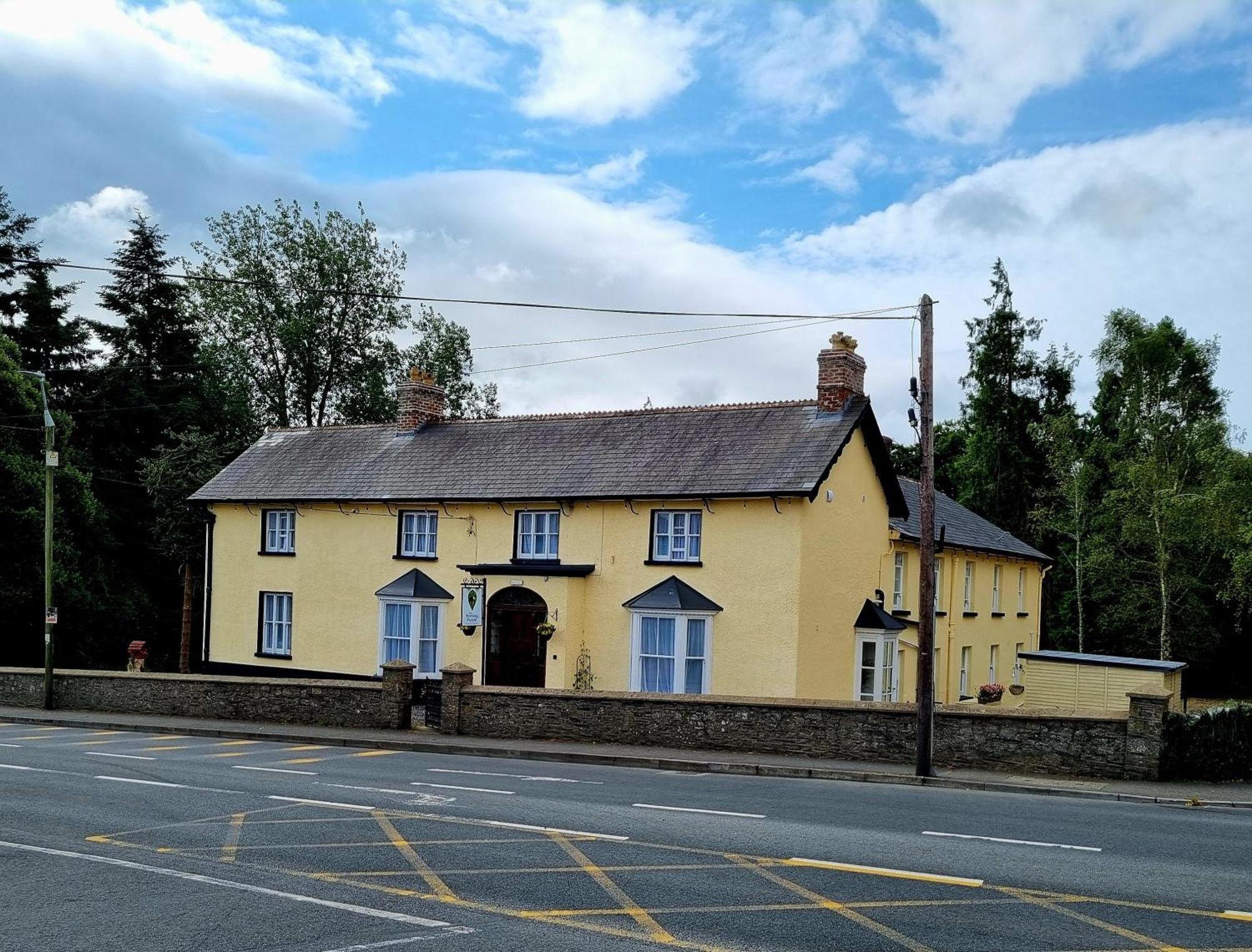 The Monkey Puzzle Hotel Bunclody Bagian luar foto